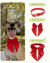 Satin Collar Bow - Cherry - FURRY MUSE WAN-BOW-S-RD