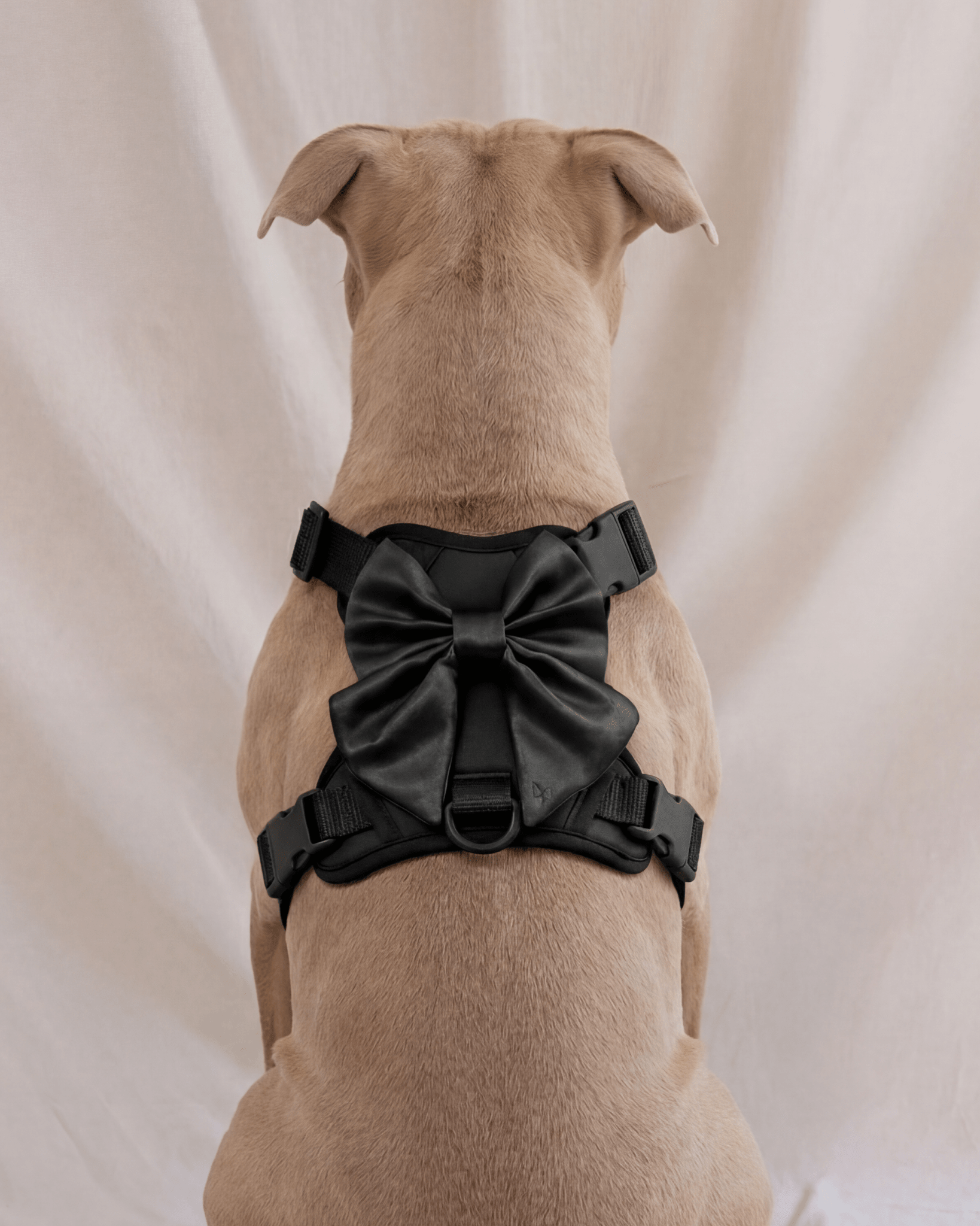 Satin Harness Bow - Midnight - FURRY MUSE WAN-HBW-XS-BLK