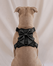 Satin Harness Bow - Midnight - FURRY MUSE WAN-HBW-XS-BLK