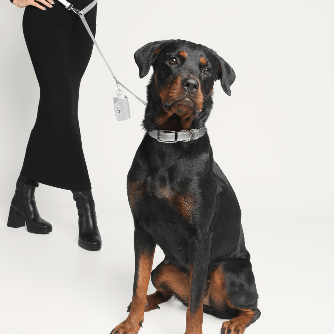 shine-3-in-1-metallic-vegan-leather-leash-poop-pouch-326600_954c779a-9fb5-4050-b443-9033c180ad1f.png