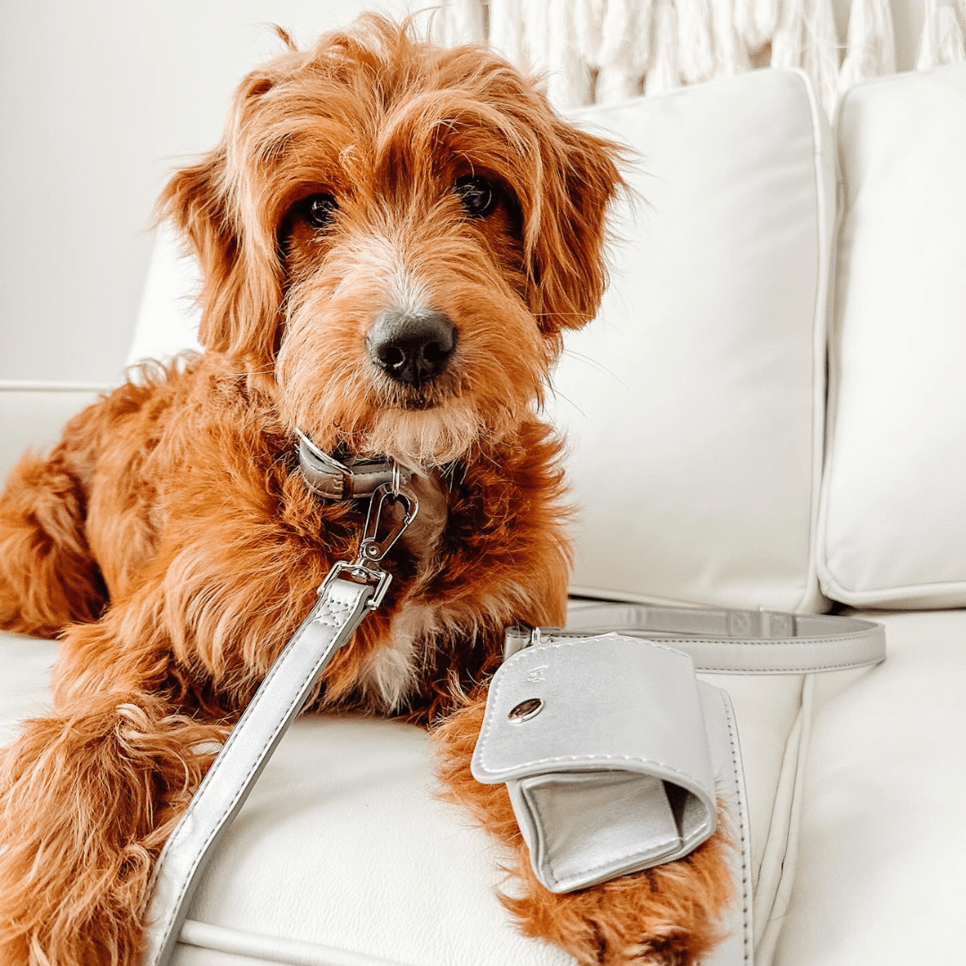 Shine 3 - in - 1 Metallic Vegan Leather Leash & Poop Pouch - Furry Muse SHI - LEA - OS - SV