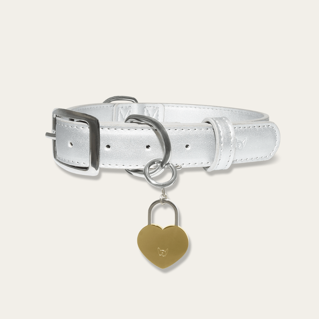Shine Metallic Leather Collar - FURRY MUSE SHI - COL - S - SV