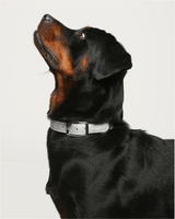Shine Metallic Leather Collar