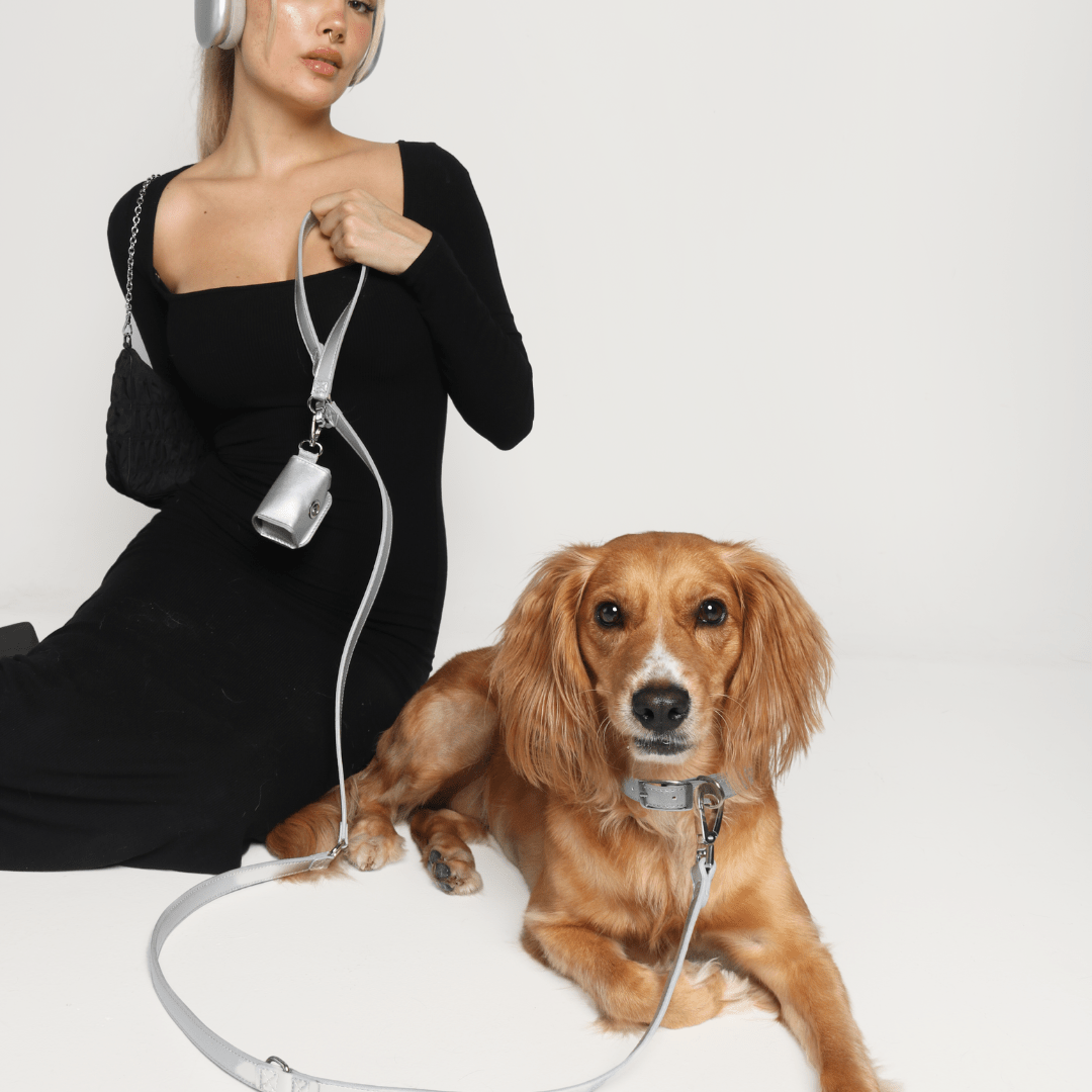 Shine Multiway Metallic Leather Leash & Poop Bag Pouch - FURRY MUSE SHI - LEA - OS - SV