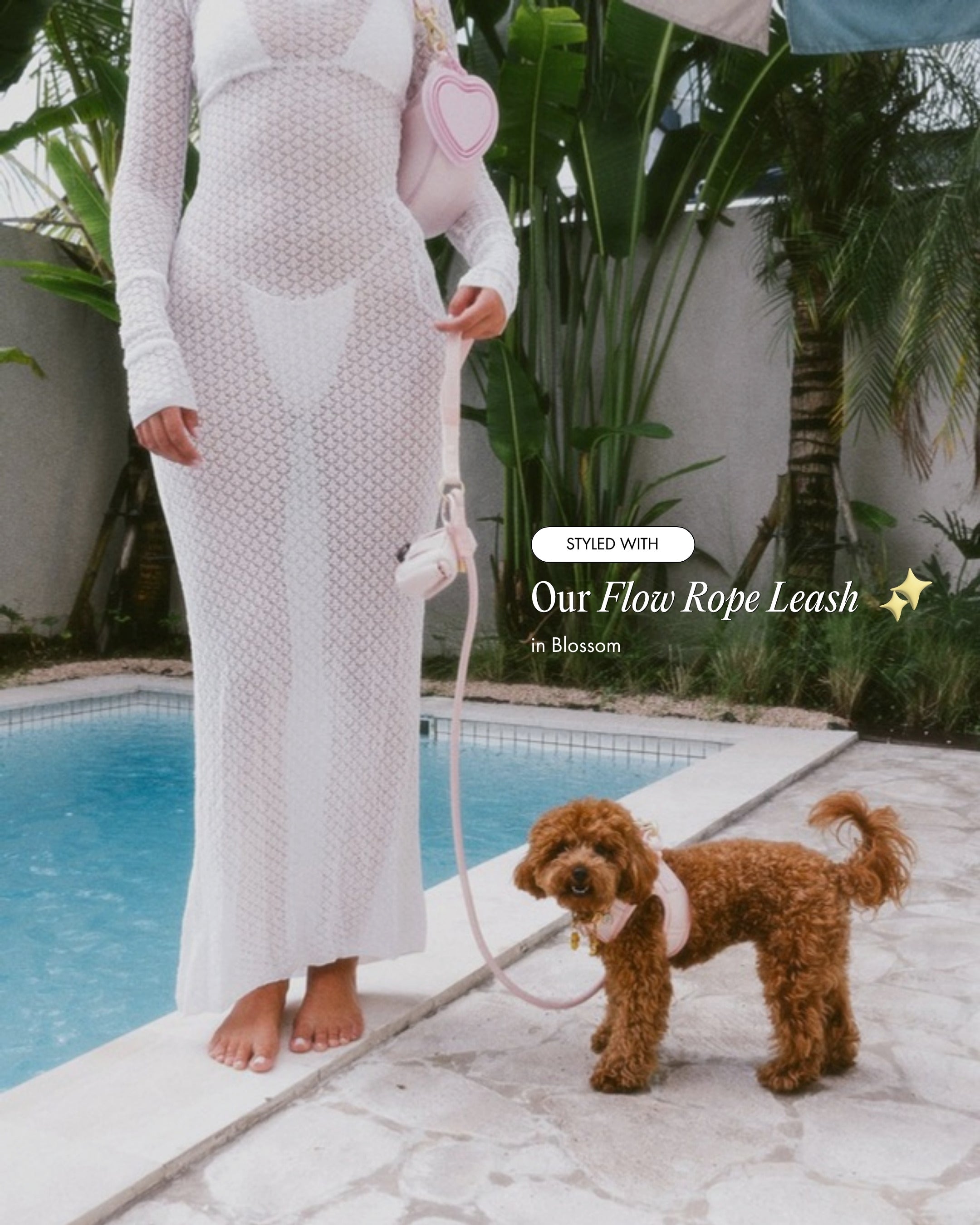 Luna the Maltipoo wearing the Step and Go Harness in Blossom, styled with the Flow Rope Leash in Blossom