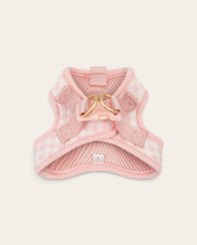 Step and Go Harness - Blossom Gingham - FURRY MUSE VSHAR-XXS-PNP