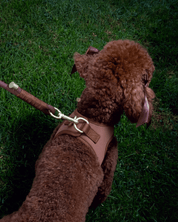 Step and Go Harness - Cocoa - FURRY MUSE VSHAR-XXS-BRN