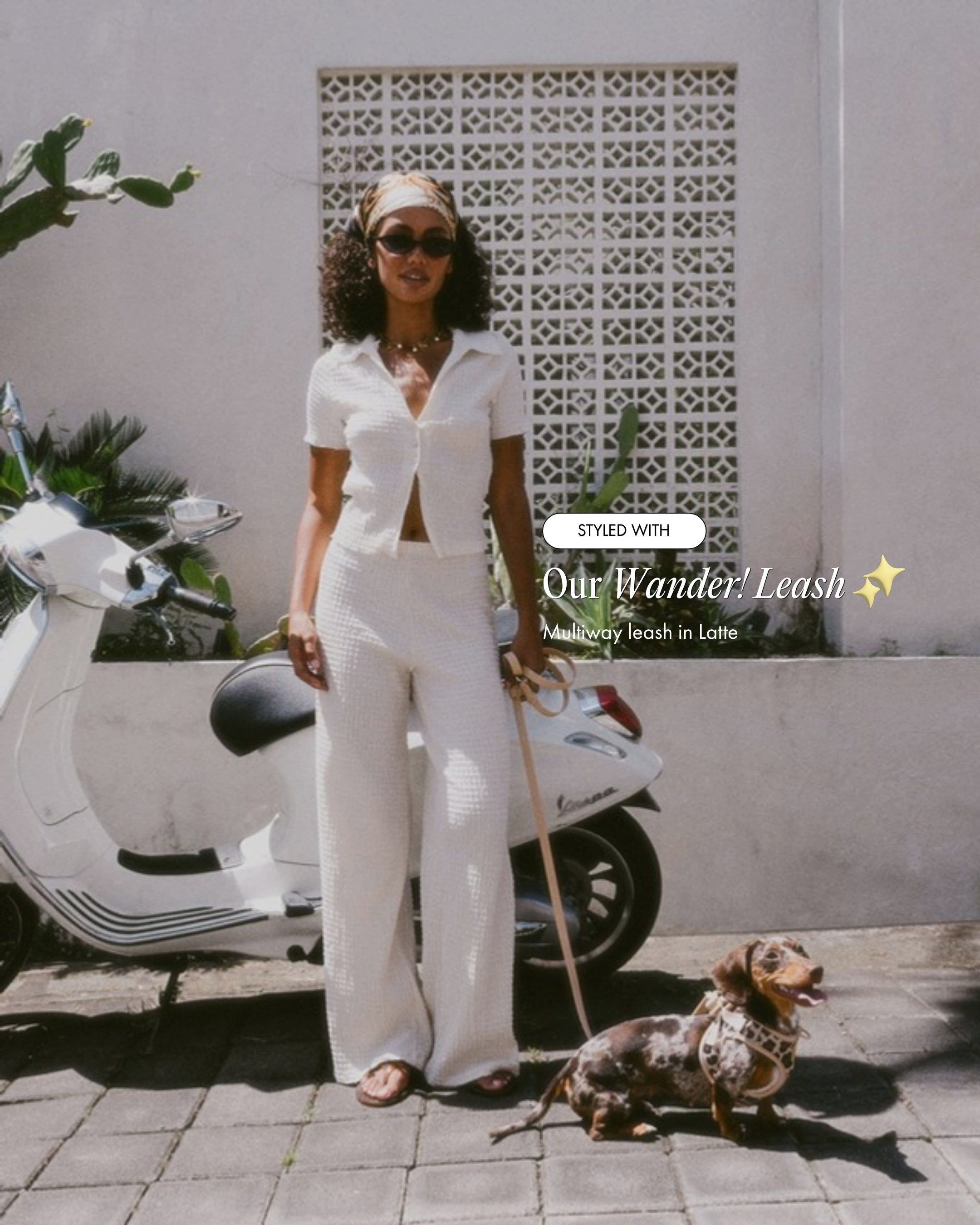 Maple wearing the Step and Go Harness in Latte Leopard, styled with the Wander! Multiway Leash in Latte