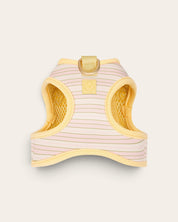 Step and Go Harness - Lemonade Stripe - FURRY MUSE VSHAR-XXS-YPN