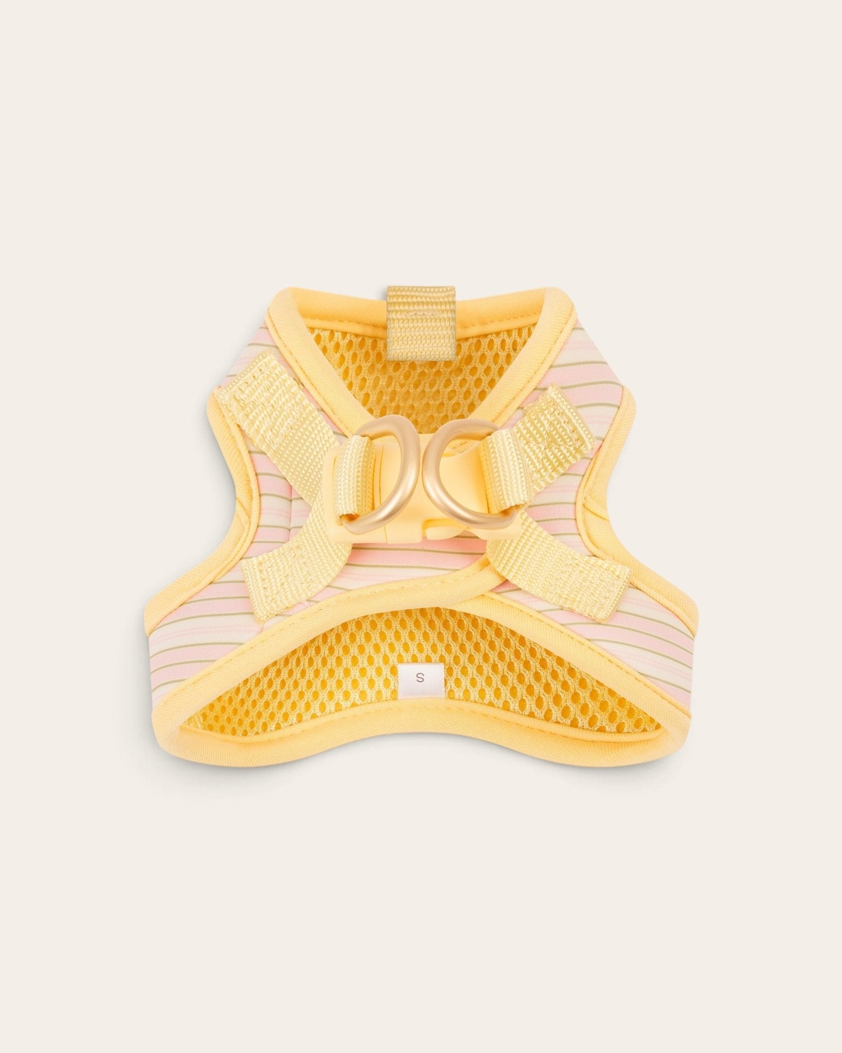 Step and Go Harness - Lemonade Stripe - FURRY MUSE VSHAR-XXS-YPN