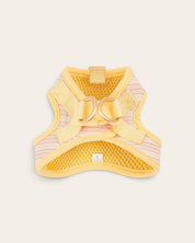 Step and Go Harness - Lemonade Stripe - FURRY MUSE VSHAR-XXS-YPN