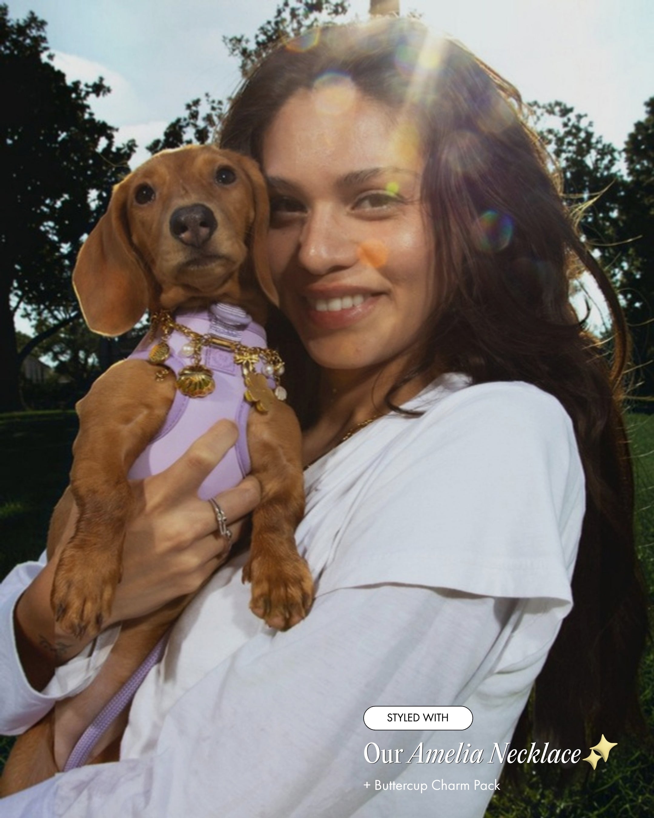 Luna the Miniature Dachshund wearing the Step and Go Harness in Lilac, styled with the Amelia Necklace and Buttercup Charm Pack