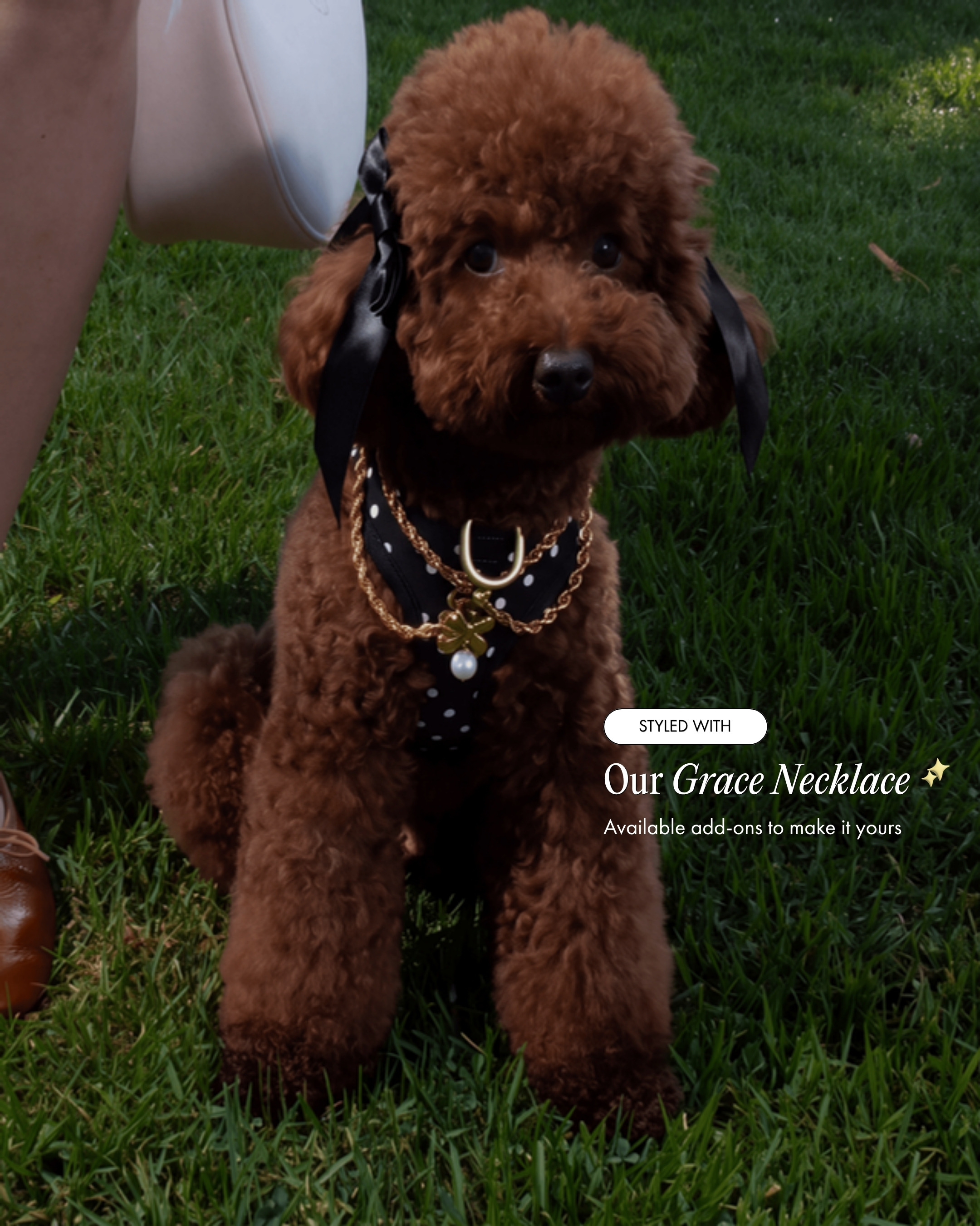 Oso wearing the Step and Go Harness in Midnight Polka Dot, styled with the Grace Necklace