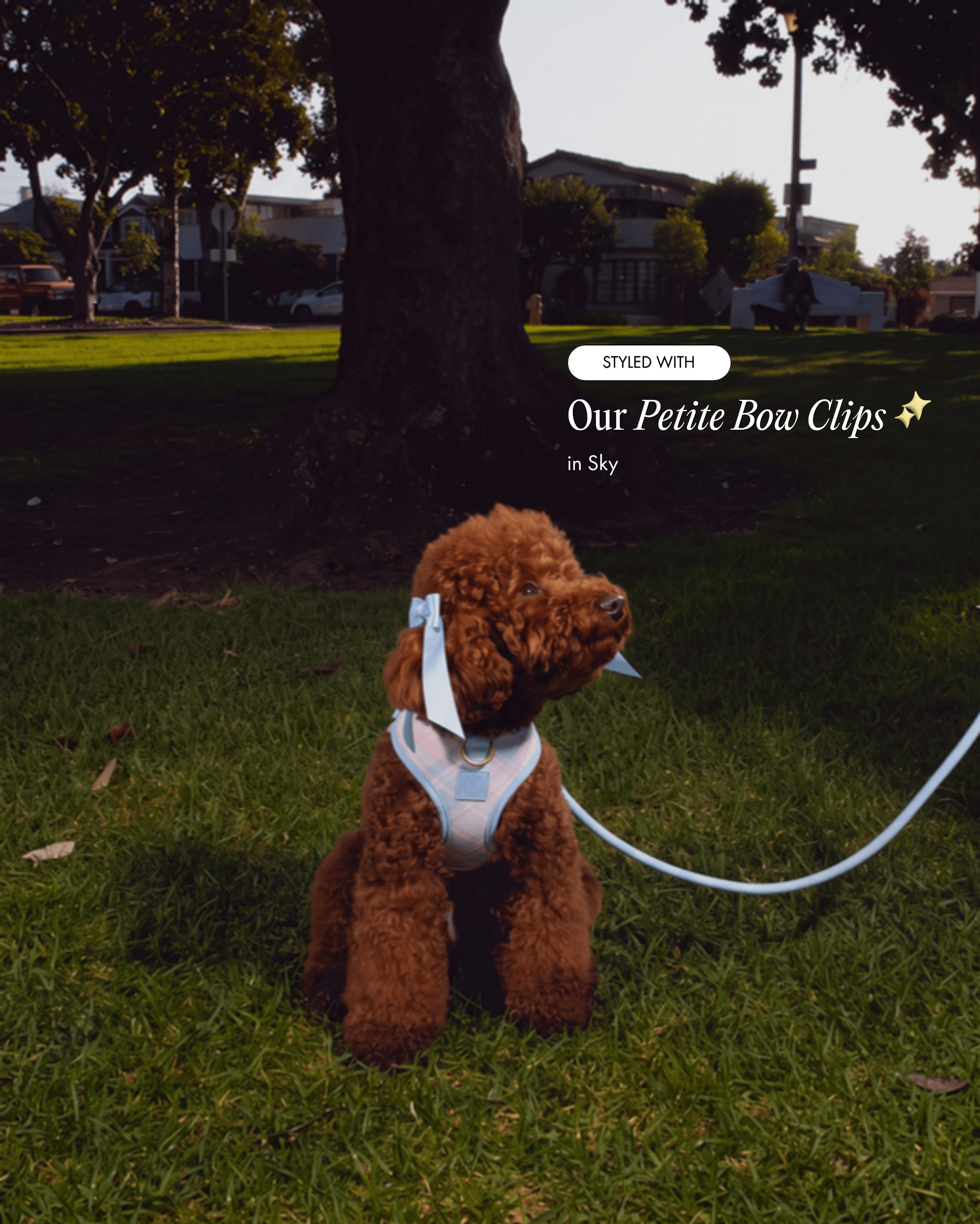 Oso wearing the Step and Go Harness in Seaside Plaid, styled with the Petite Bow Clips in Sky