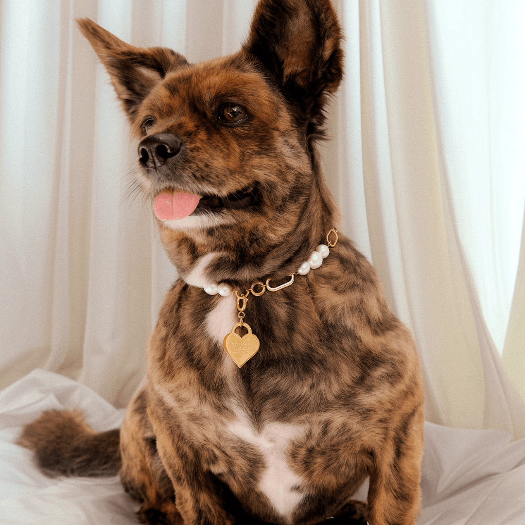 Sweetheart Pendant - FURRY MUSE FW24 - NK - HE - OS