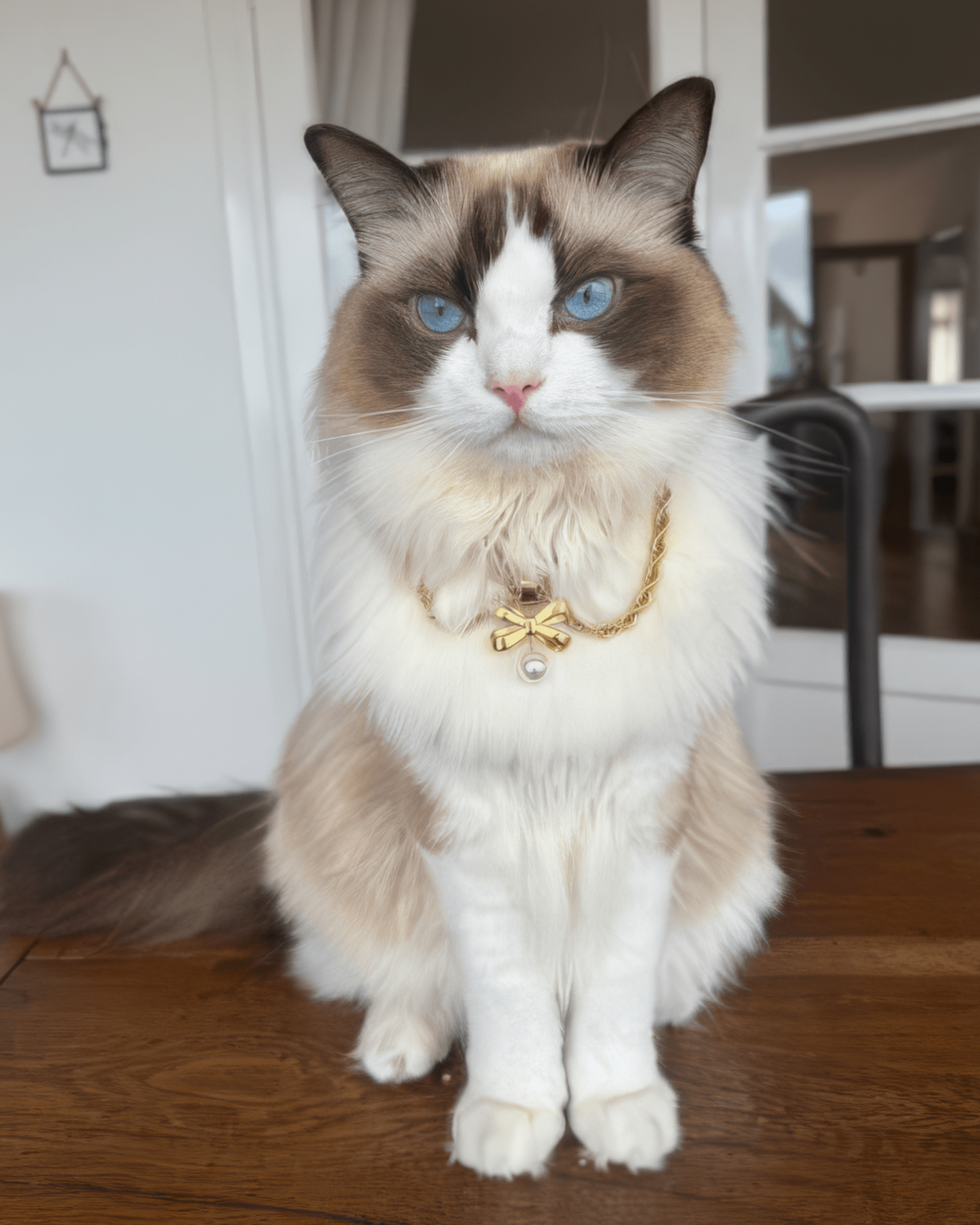 The Grace Necklace - FURRY MUSE SS25-NK-M03-S