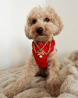 The Grace Necklace