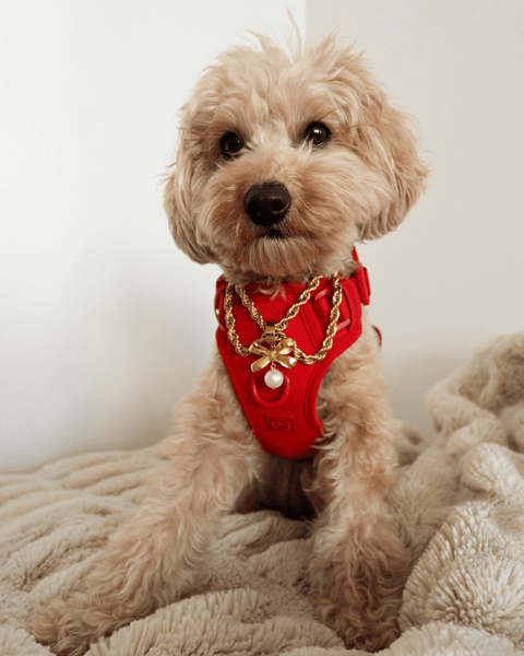 the-grace-necklace-