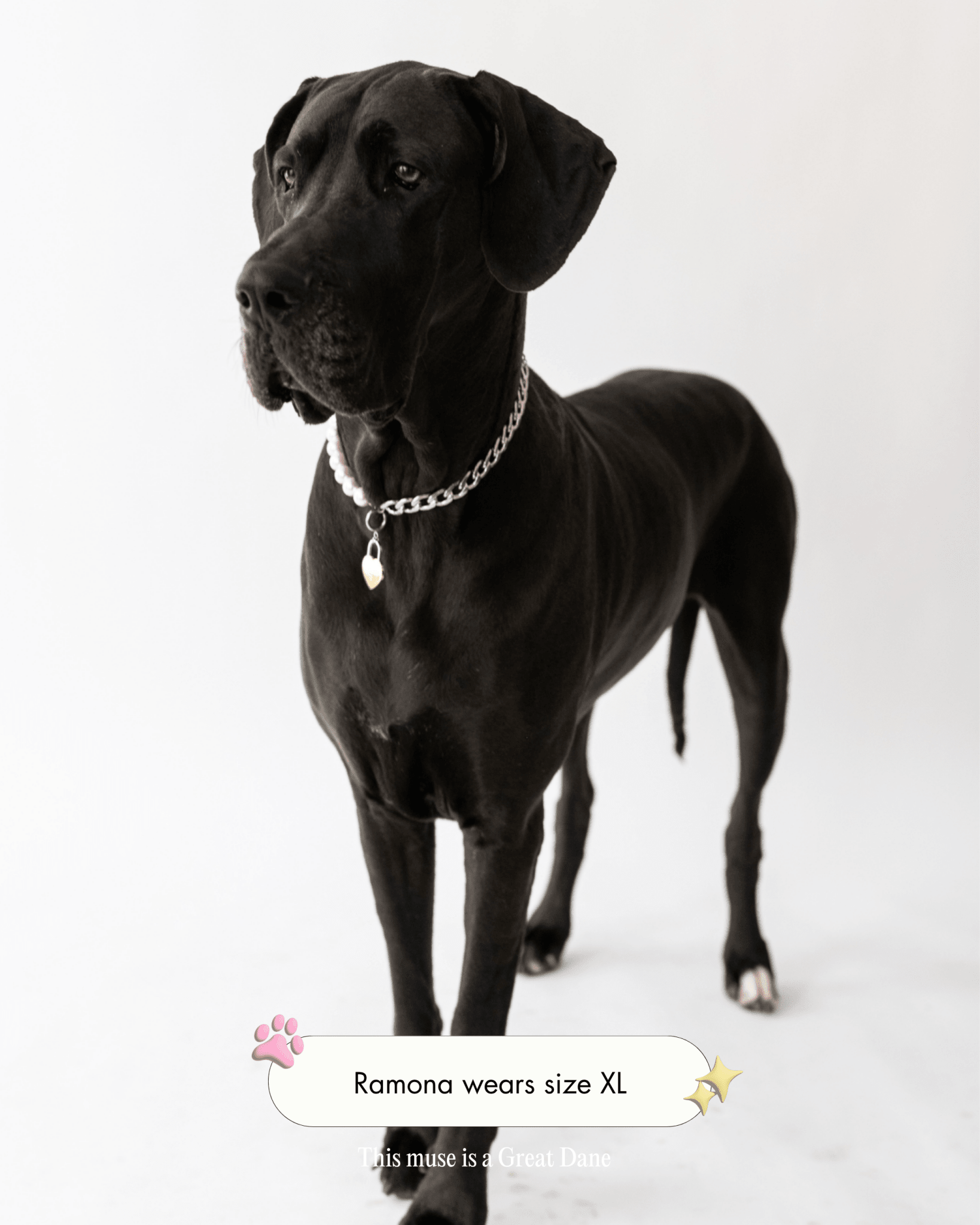 The Lola Necklace - FURRY MUSE WT23-NK-M01-S-002