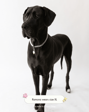 The Lola Necklace - FURRY MUSE WT23-NK-M01-S-002
