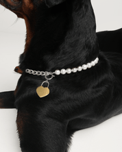 The Lola Necklace - FURRY MUSE WT23 - NK - M01 - S - 001