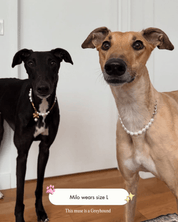The Zoe Necklace - FURRY MUSE FW24-NK-M02-S