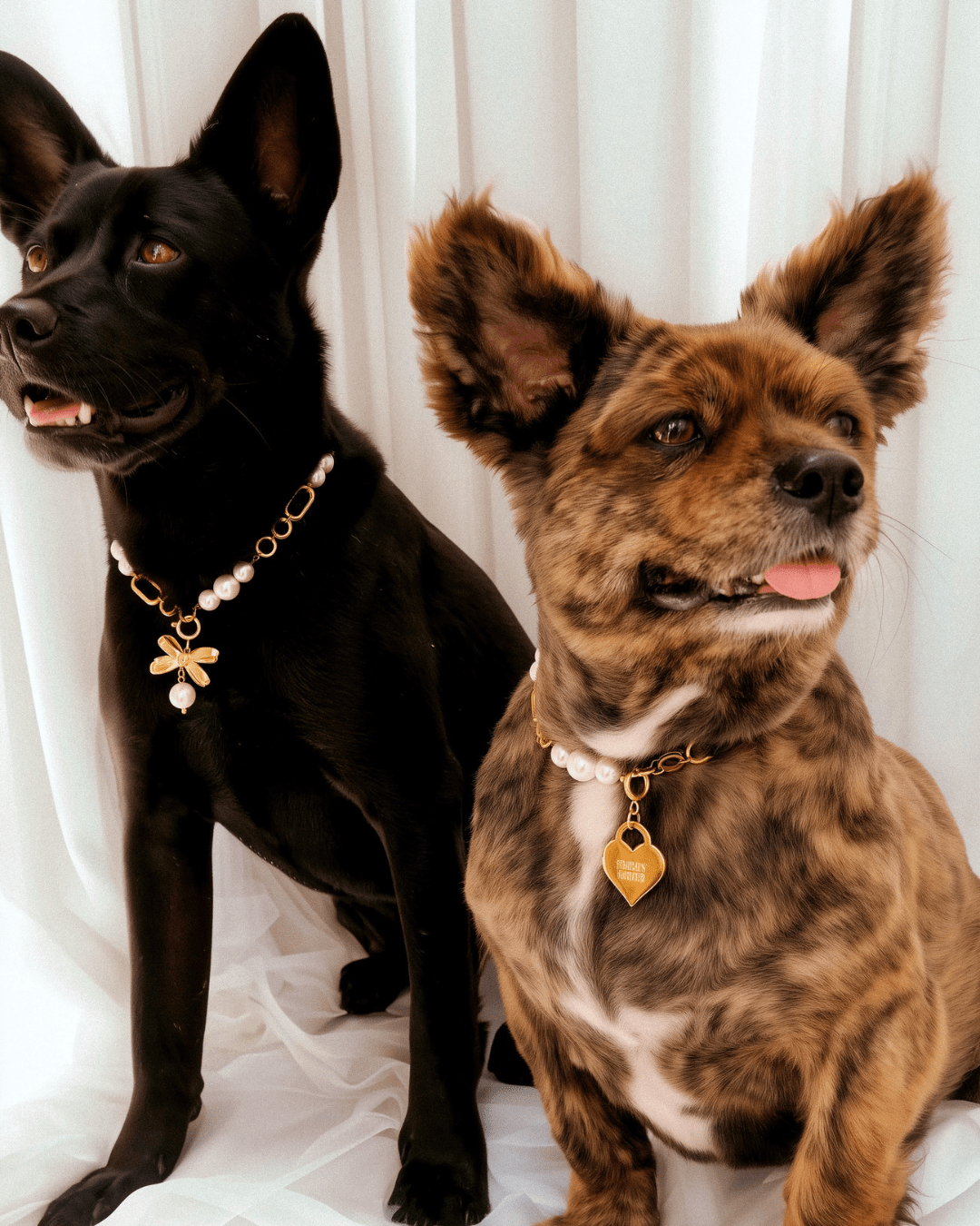 Furry Muse Pet Jewelry | The Zoe Pearl and Gold Pet Necklace Furry Muse Pet Jewelry | The Zoe Pearl and Gold Pet Necklace