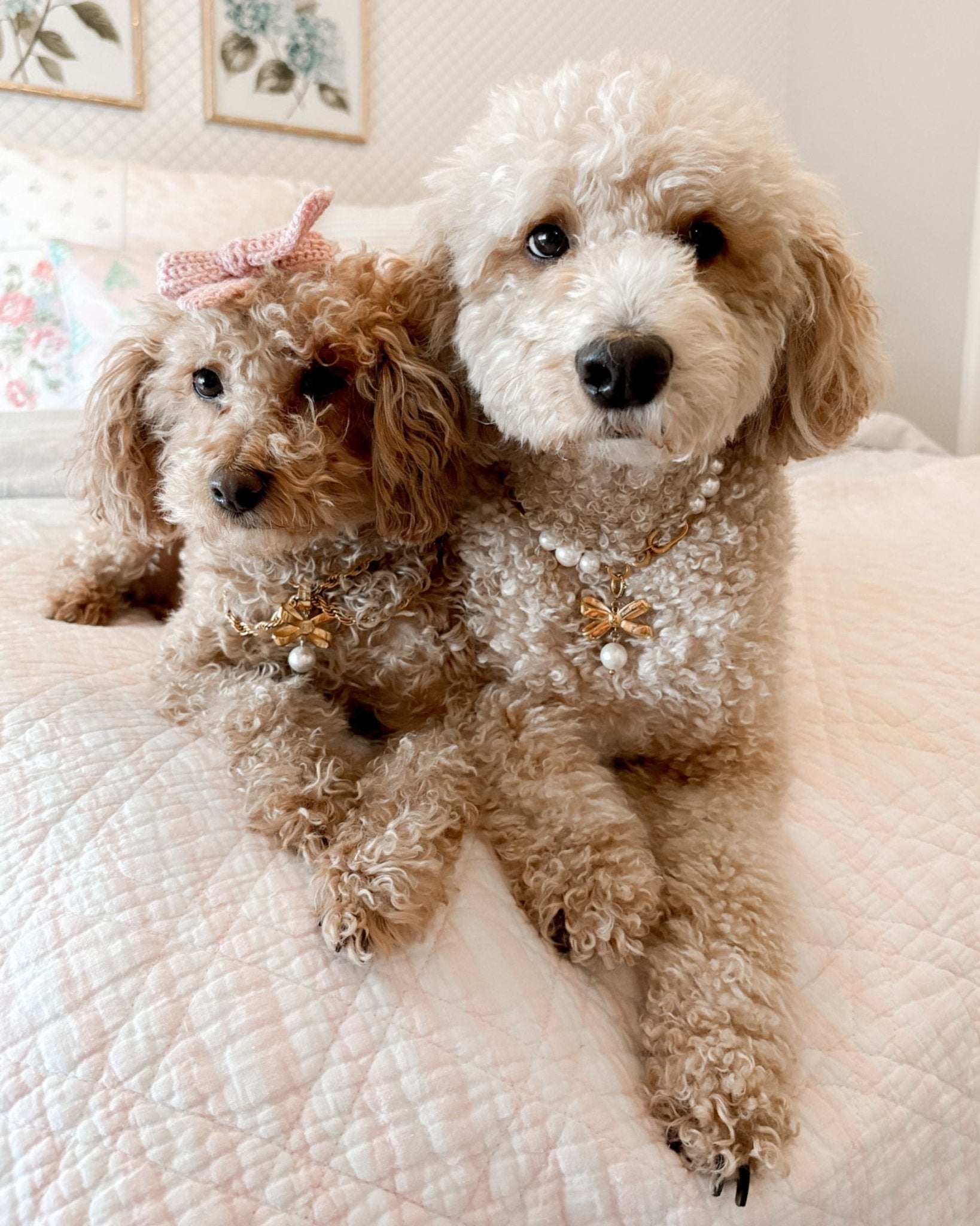 Furry Muse Pet Jewelry | The Zoe Pearl and Gold Pet Necklace