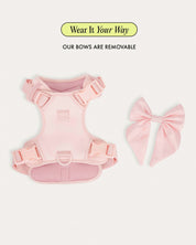 Wander! Bow Harness 2.0 - Blossom - FURRY MUSE WAN-HAR3-XXS-PN
