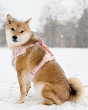 Wander! Bow Harness 2.0 - Blossom - FURRY MUSE WAN-HAR3-XXS-PN