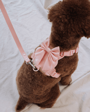 Wander! Bow Harness 2.0 - Blossom - FURRY MUSE WAN-HAR3-XXS-PN