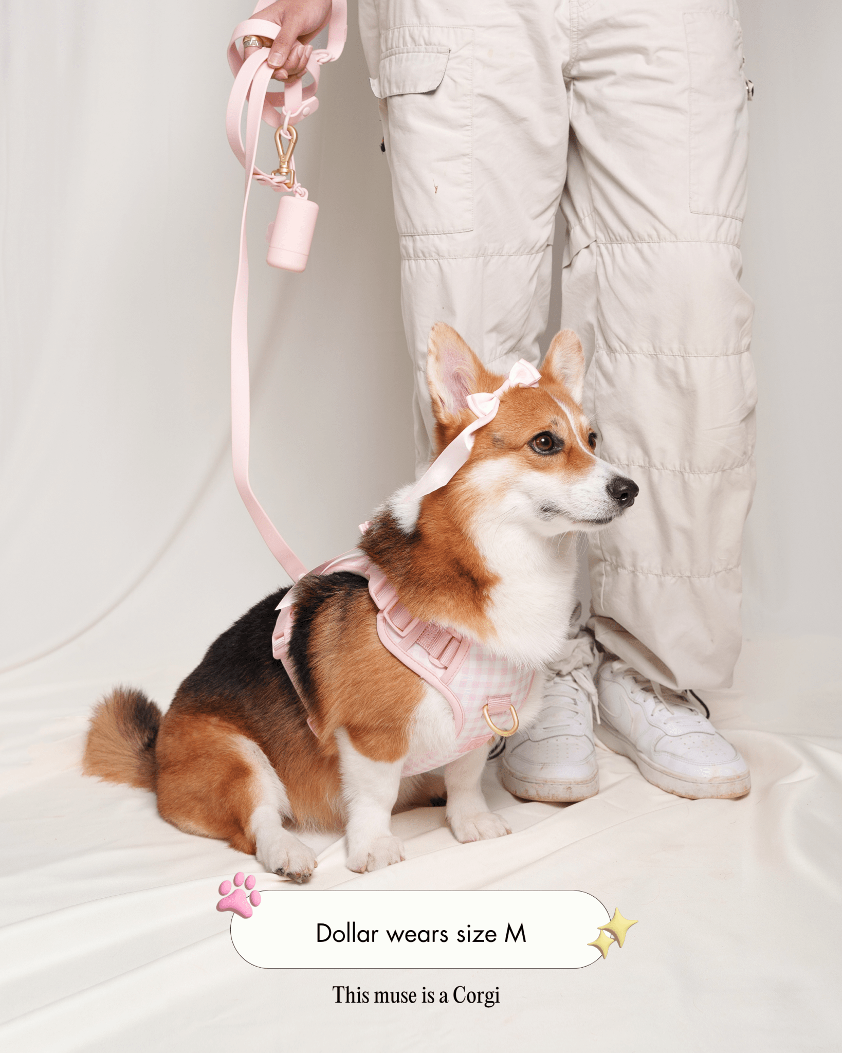 Wander! Bow Harness 2.0 - Blossom Gingham - FURRY MUSE WAN-HAR3-XS-PNP