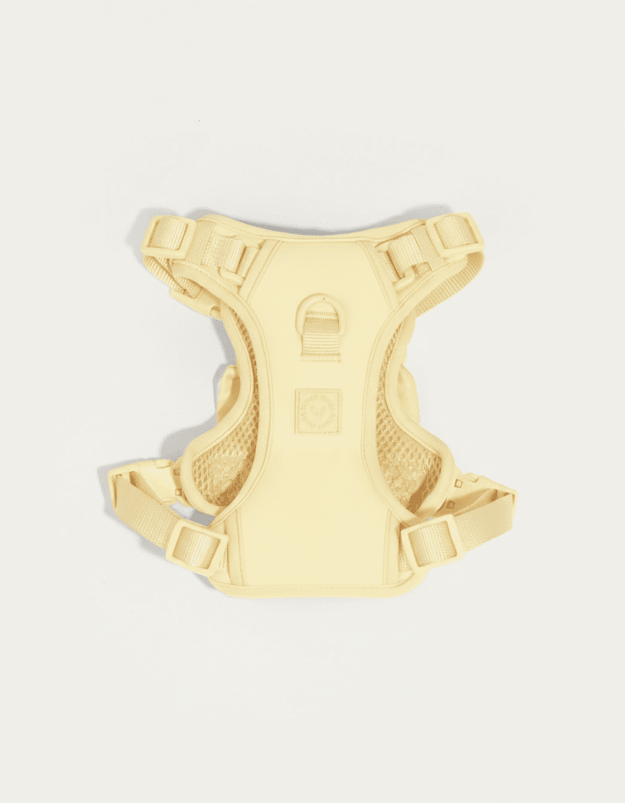 Wander! Bow Harness 2.0 - Buttercream - FURRY MUSE WAN-HAR3-XS-YL