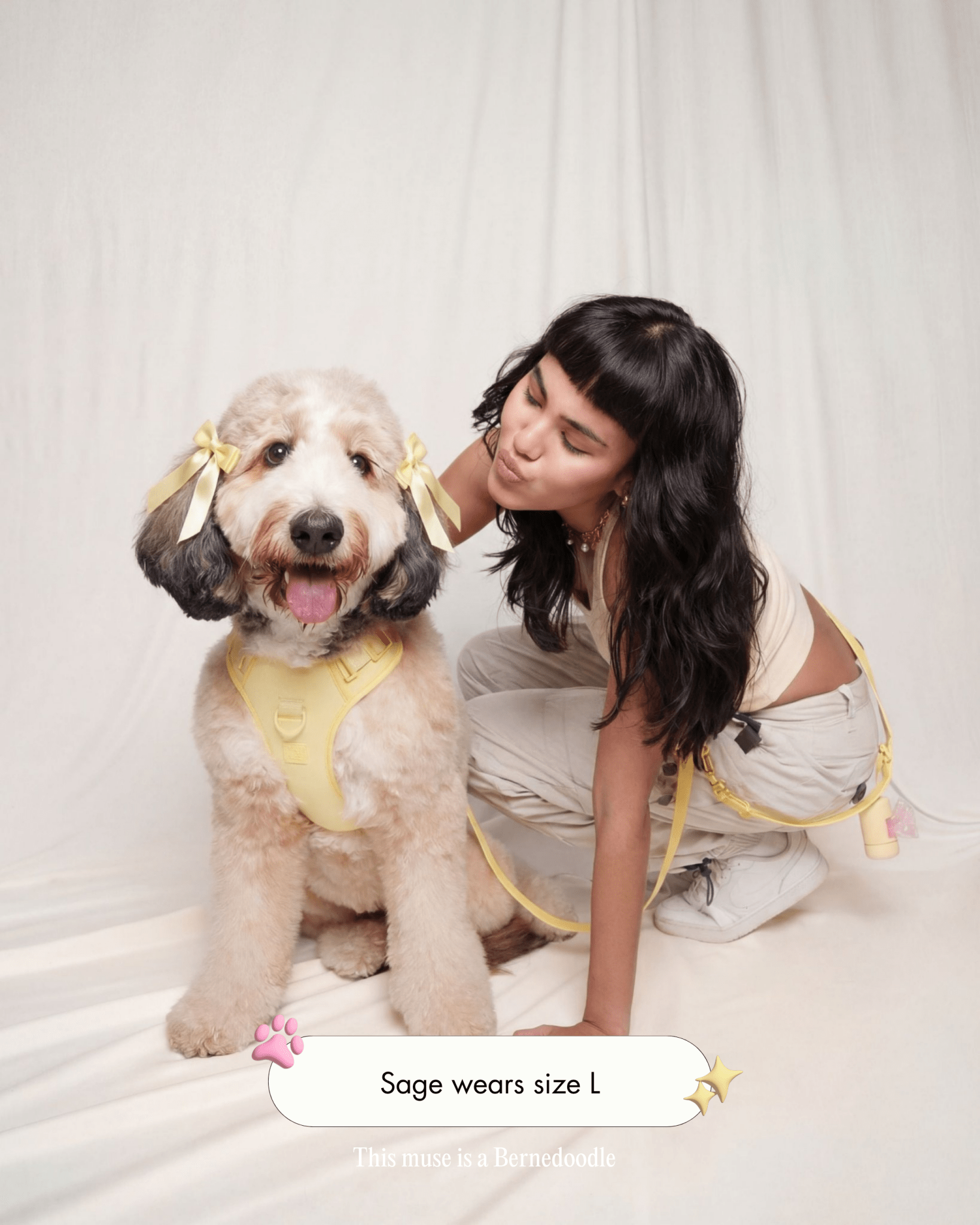 Wander! Bow Harness 2.0 - Buttercream - FURRY MUSE WAN-HAR3-XS-YL