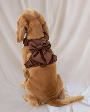 Wander! Bow Harness 2.0 - Cocoa - FURRY MUSE WAN-HAR3-XS-BR