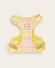 Wander! Bow Harness 2.0 - Lemonade Stripe - FURRY MUSE WAN-HAR3-XS-YPN