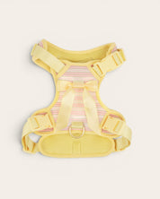 Wander! Bow Harness 2.0 - Lemonade Stripe - FURRY MUSE WAN-HAR3-XS-YPN
