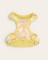 Wander! Bow Harness 2.0 - Lemonade Stripe