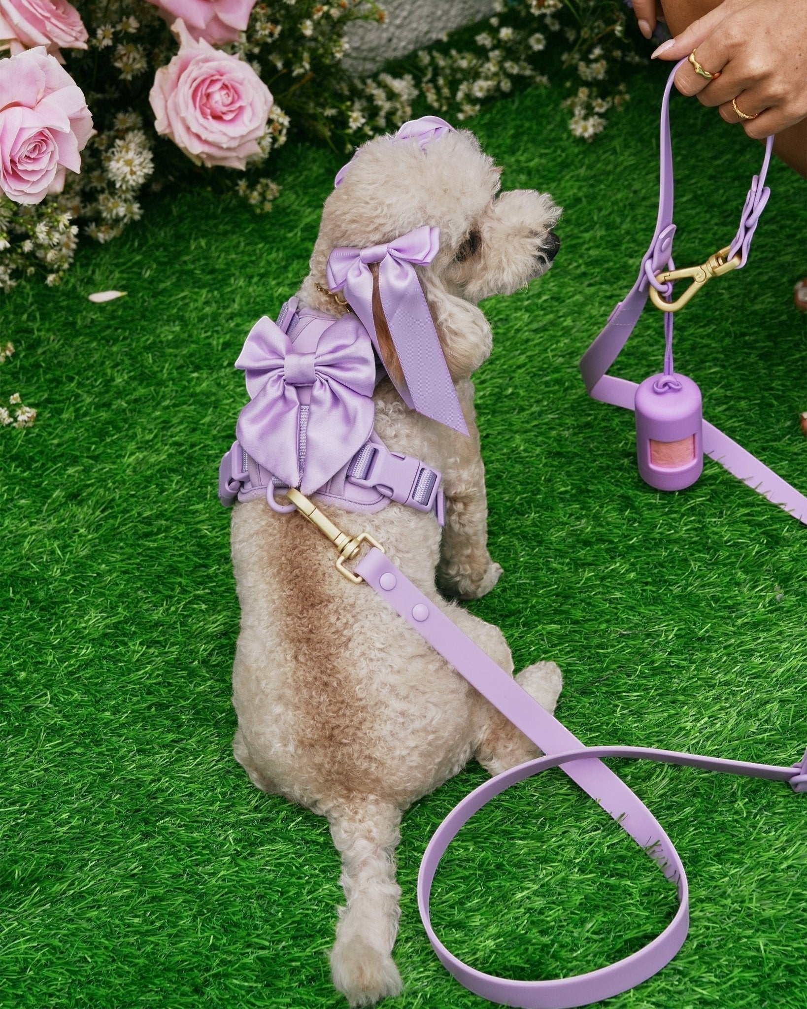 Wander! Bow Harness 2.0 - Lilac - FURRY MUSE WAN-HAR3-XS-LI
