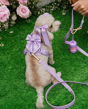 Wander! Bow Harness 2.0 - Lilac - FURRY MUSE WAN-HAR3-XS-LI