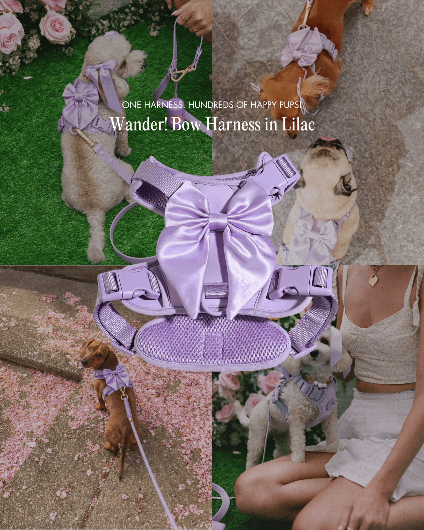 Wander! Bow Harness 2.0 - Lilac - FURRY MUSE WAN-HAR3-XS-LI