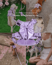 Wander! Bow Harness 2.0 - Lilac - FURRY MUSE WAN-HAR3-XS-LI