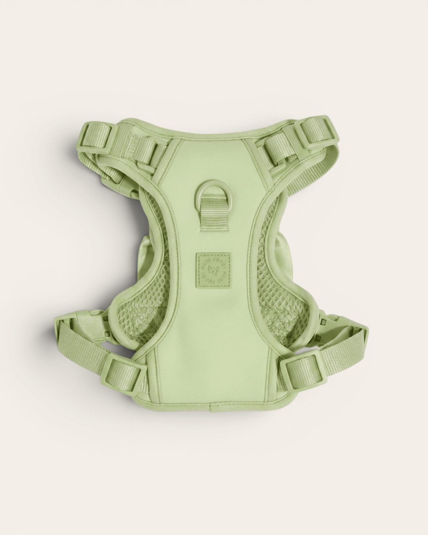 Wander! Bow Harness 2.0 - Matcha - FURRY MUSE WAN-HAR3-XS-GR