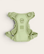 Wander! Bow Harness 2.0 - Matcha - FURRY MUSE WAN-HAR3-XS-GR