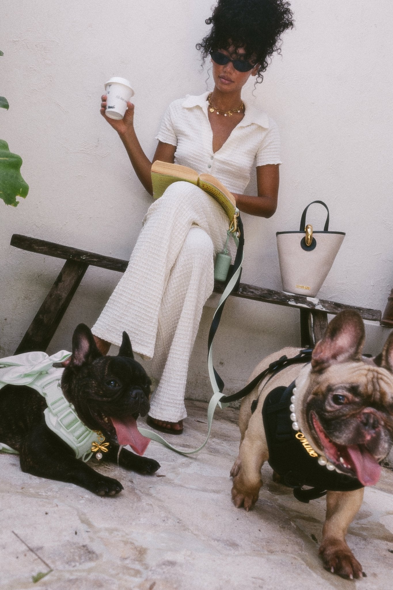 Wander! Bow Harness 2.0 - Matcha - FURRY MUSE WAN-HAR3-XS-GR