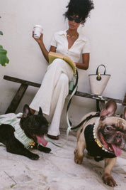 Wander! Bow Harness 2.0 - Matcha - FURRY MUSE WAN-HAR3-XS-GR