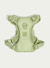 Wander! Bow Harness 2.0 - Matcha - FURRY MUSE WAN-HAR3-XS-GR