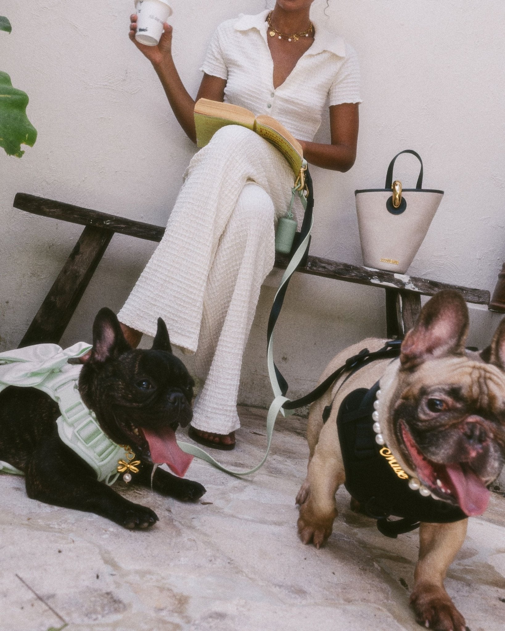 Wander! Bow Harness 2.0 - Matcha - FURRY MUSE WAN-HAR3-XS-GR