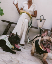 Wander! Bow Harness 2.0 - Matcha - FURRY MUSE WAN-HAR3-XS-GR