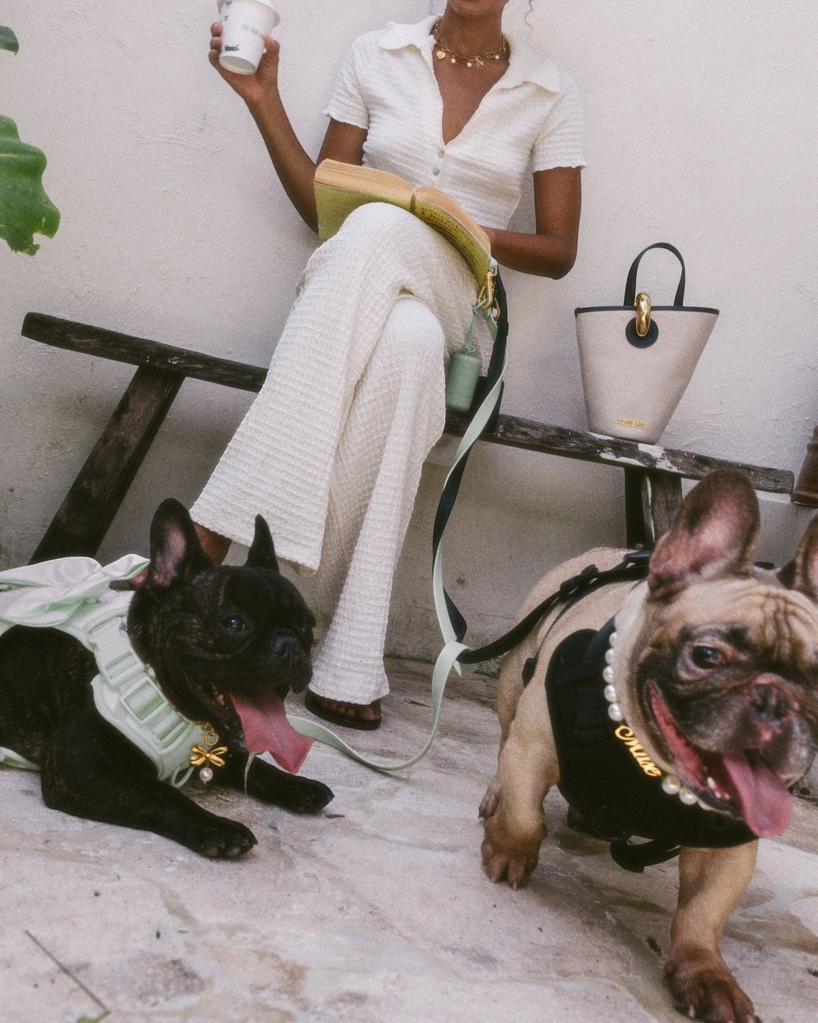 Wander! Bow Harness 2.0 - Matcha - FURRY MUSE WAN-HAR3-XS-GR